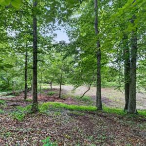 Photo #51 of 275 Fox Hill Road, Rice, VA 1.4 acres
