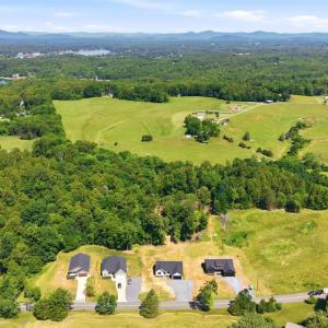 Photo #51 of 1805 Hickory Cove Ln, Moneta, VA 0.9 acres