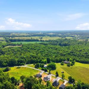 Photo #46 of 1805 Hickory Cove Ln, Moneta, VA 0.9 acres