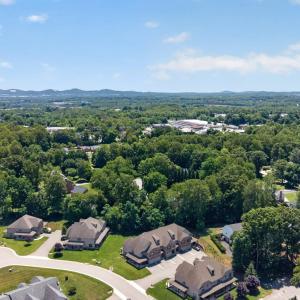Photo #50 of 1033 Tori Court, Forest, VA 0.1 acres
