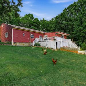 Photo #53 of 809 Plantation Road, Amherst, VA 45.6 acres
