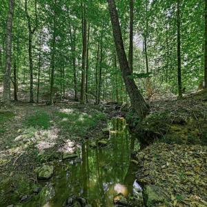 Photo #62 of 809 Plantation Road, Amherst, VA 45.6 acres