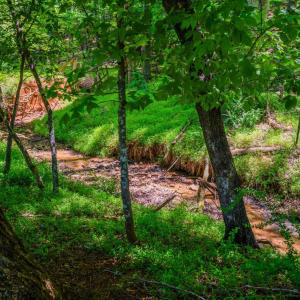 Photo #3 of 115 Meadowridge Drive, Lynchburg, VA 2.5 acres