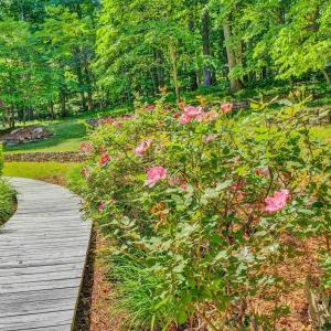Photo #46 of 6060 Catawba Creek Road, Troutville, VA 20.0 acres