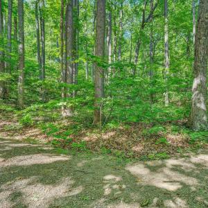 Photo #53 of 6060 Catawba Creek Road, Troutville, VA 20.0 acres