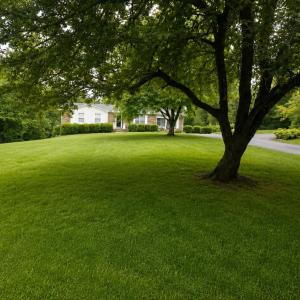 Photo #32 of 2346 Mitchell Mill Road, Gladys, VA 2.6 acres