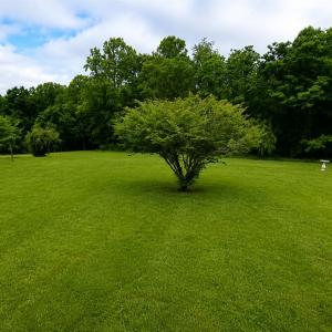 Photo #28 of 2346 Mitchell Mill Road, Gladys, VA 2.6 acres