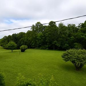 Photo #29 of 2346 Mitchell Mill Road, Gladys, VA 2.6 acres