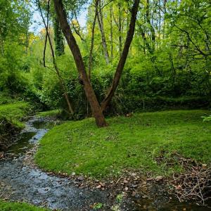 Photo #35 of 296 Tommie Wood Ln, Lynchburg, VA 4.0 acres