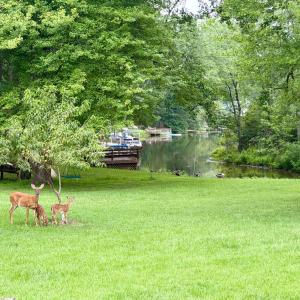 Photo #69 of 762 Timberlake Drive, Lynchburg, VA 1.2 acres