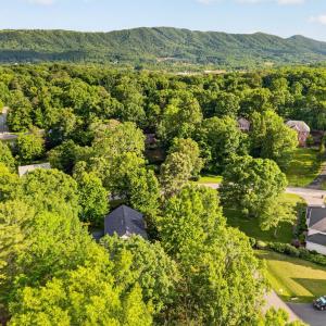 Photo #69 of 24 Queen Regent Court, Blue Ridge, VA 0.5 acres