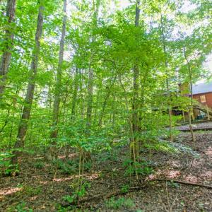 Photo #53 of 369 Juniper Drive, Lynchburg, VA 0.6 acres