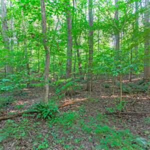 Photo #50 of 369 Juniper Drive, Lynchburg, VA 0.6 acres