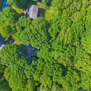Photo #59 of 369 Juniper Drive, Lynchburg, VA 0.6 acres