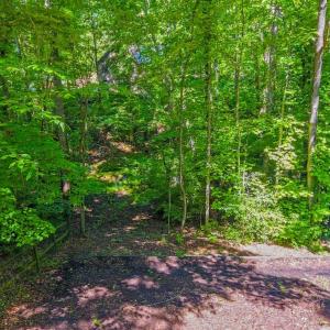 Fully fenced in wooded yard