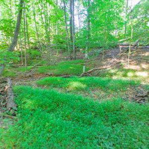 Photo #52 of 369 Juniper Drive, Lynchburg, VA 0.6 acres