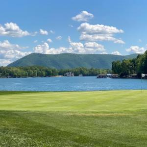 Photo #71 of 1250 Our Cove Road, Huddleston, VA 0.3 acres