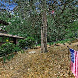 Photo #73 of 305 Lake Ridge Drive, Forest, VA 1.1 acres