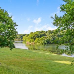 Photo #64 of 1423 Lakepointe Drive, Forest, VA 2.0 acres