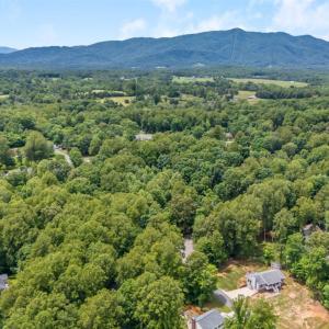 Photo #49 of 125 Cane Raiser Court, Amherst, VA 0.7 acres