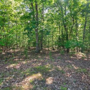 Photo #27 of 422 Masons Mill Road, Evington, VA 5.0 acres
