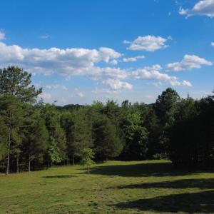 Photo #13 of 5400 Richmond Highway, Gladstone, VA 2.7 acres