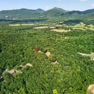Photo #29 of 1086 Bugg Hollow Lane, Montvale, VA 6.3 acres
