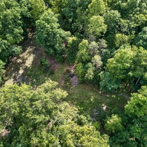 Photo #22 of 1086 Bugg Hollow Lane, Montvale, VA 6.3 acres