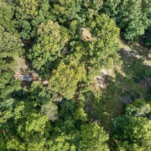 Photo #21 of 1086 Bugg Hollow Lane, Montvale, VA 6.3 acres