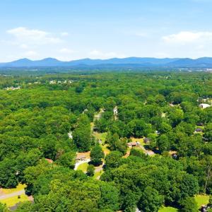 Photo #60 of 204 Greentree Drive, Forest, VA 1.0 acres