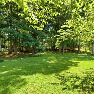 Photo #48 of 204 Greentree Drive, Forest, VA 1.0 acres