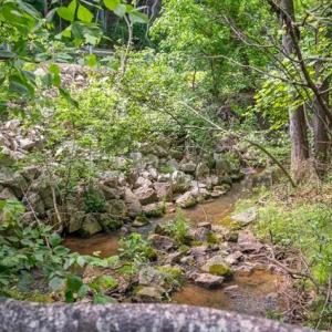 Photo #73 of 2288 Lexington Turnpike, Amherst, VA 22.9 acres