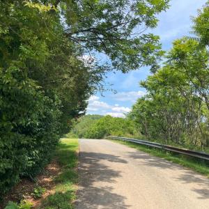 Photo #61 of 97 Breeze Hill Lane, Lynchburg, VA 6.8 acres