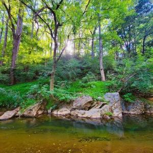 Photo #65 of 97 Breeze Hill Lane, Lynchburg, VA 6.8 acres