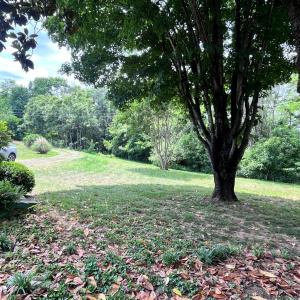 Photo #15 of 97 Breeze Hill Lane, Lynchburg, VA 6.8 acres