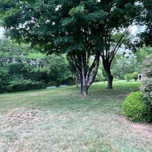 Photo #19 of 97 Breeze Hill Lane, Lynchburg, VA 6.8 acres