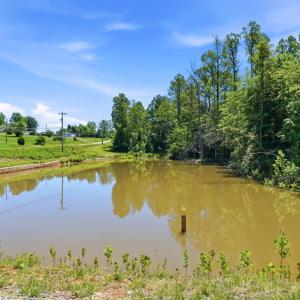Photo #42 of 198 Old Lynbrook Road, Rustburg, VA 4.3 acres