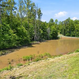 Photo #49 of 198 Old Lynbrook Road, Rustburg, VA 4.3 acres