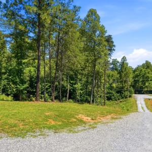 Photo #41 of 198 Old Lynbrook Road, Rustburg, VA 4.3 acres