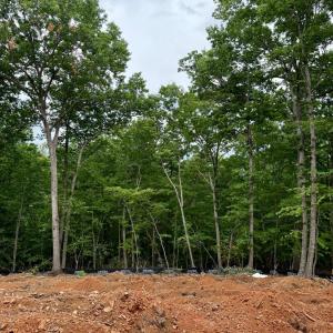 Photo #5 of 410 Darrell Ln, Hurt, VA 1.1 acres