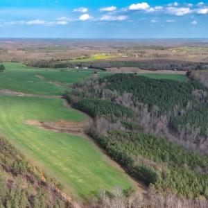 Photo #54 of 677 Tabor Road, Gladys, VA 95.5 acres