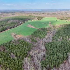 Photo #52 of 677 Tabor Road, Gladys, VA 95.5 acres