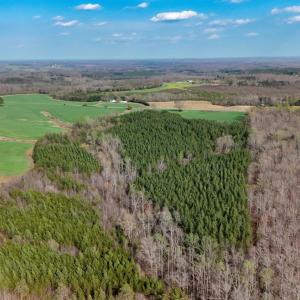Photo #80 of 677 Tabor Road, Gladys, VA 95.5 acres