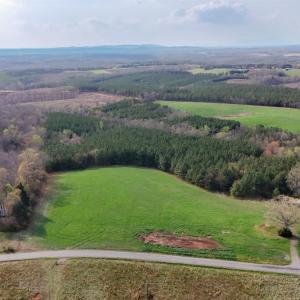 Photo #78 of 677 Tabor Road, Gladys, VA 95.5 acres