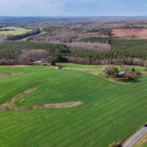 Photo #68 of 677 Tabor Road, Gladys, VA 95.5 acres