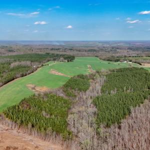 Photo #79 of 677 Tabor Road, Gladys, VA 95.5 acres