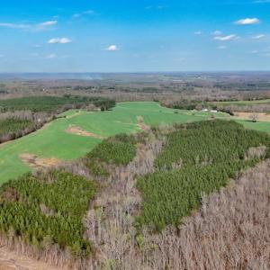 Photo #48 of 677 Tabor Road, Gladys, VA 95.5 acres