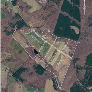 Photo #99 of 2990 Whites Chapel Road, Phenix, VA 414.5 acres