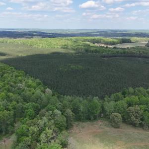 Photo #77 of 2990 Whites Chapel Road, Phenix, VA 414.5 acres