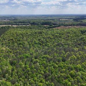 Photo #84 of 2990 Whites Chapel Road, Phenix, VA 414.5 acres
